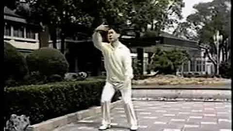 Shi Ba Shi Qi Gong - 1 Set - Master Lin Hou Sheng