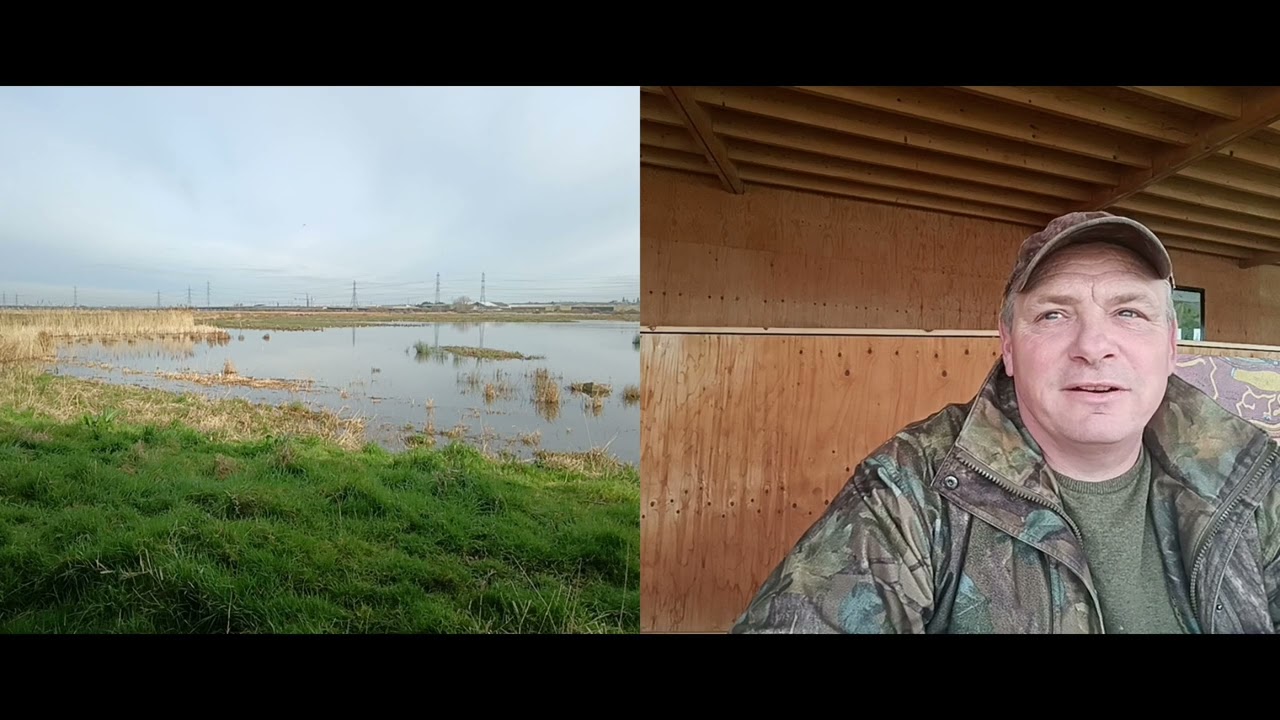 A visit to my favourite rspb Rainham marshes part 1 of 2