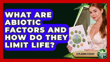 What Are Abiotic Factors And How Do They Limit Life? - Explaining Ecology
