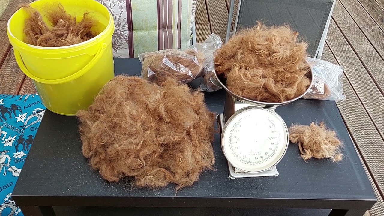 Vom Alpaka zum Garnknäuel