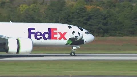 The pandas are here! Giant pandas arrive at DC