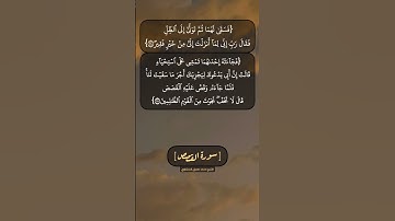 سورة القصص الآية ٢٥ و ٢٦ بصوت الشيخ محمد صديق المنشاوي