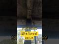 दैनिक दिनचर्या 17.03.2026 #minivlog #jaypathak #shortsfeed #shriharivansh