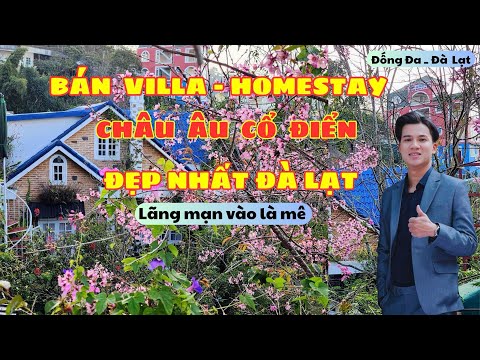 Bán Villa / Homestay Đẹp và có Gu nhất nhì Đà Lạt. Gia chủ tâm huyết và tiếc nuối khi bán 