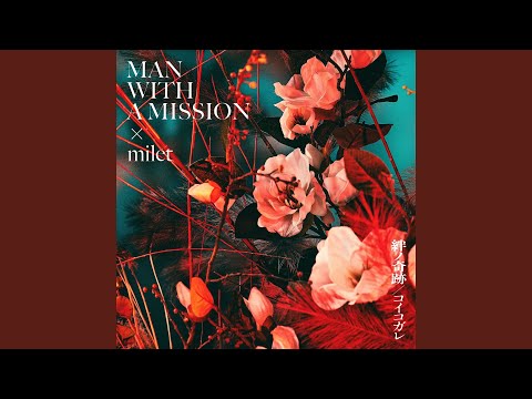 CWM feat. カルカヤマコト/ My Love Is Your Love Mai Kuraki Single Collection ~Chance for you~ - 倉木麻衣の
