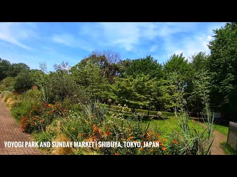 Yoyogi Park and Sunday Market | Shibuya, Tokyo, Japan