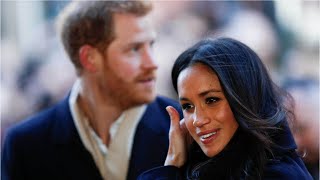 Harry and Meghan are 'yapping, whining, moaning hypocrites'