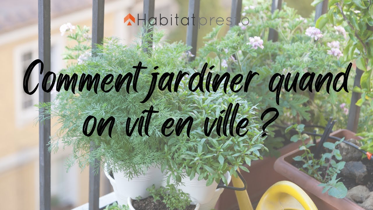 Balcon potager : comment planter des graines paysannes - Mon petit balcon