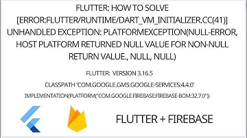 Flutter : [ERROR:flutter/runtime/dart_vm_initializer.cc(41)] Unhandled Exception: PlatformException