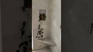 Master Bathroom Remodel | Gig Harbor, WA  #bathroom #bathroomdesign