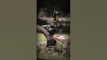 وفي القلب صبر للحبيب ولو جفا فما كل من تهواه يهواك قلبه 