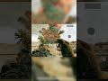 Эта винтовка самая сильная в 4м сезоне #deltaforcemobile