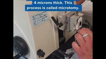 LABS UNLOCKED 🔑 Take a tour of our Anatomical Pathology laboratory at Frome Road