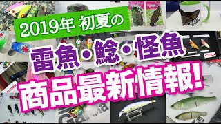 2019年初夏の雷魚・鯰・怪魚系 商品最新情報！