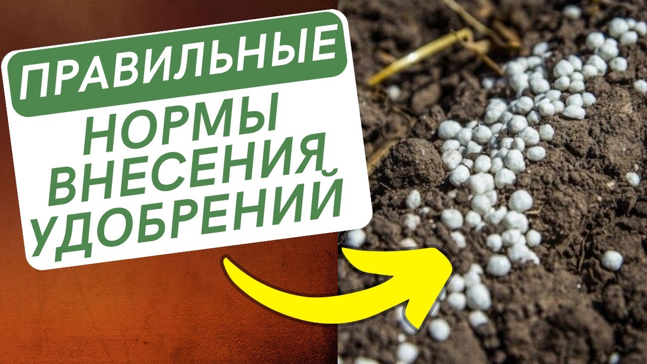 Внесение Удобрений с СЕМЕНАМИ. Нормы внесения Азотных, Фосфорных и ...