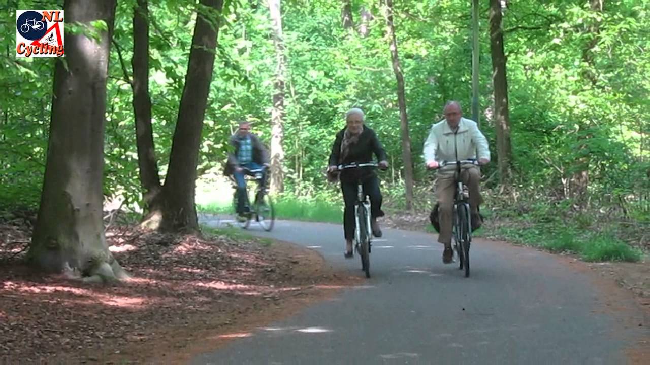 infrastructure as a service People cycling in the woods near Vught (Netherlands)