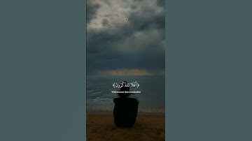 #سورة_السجدة #عبدالرحمن_مسعد #قرآن #القرآن_الكريم #راحة_نفسية #تلاوة_خاشعة
