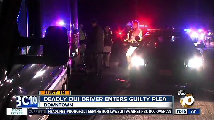 DUI driver pleads guilty to deadly crash
