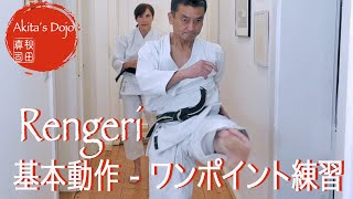 One point Training #5: Rengeri 空手の基本動作、連蹴り【Akita&#39;s Karate Video】   HD 1080p