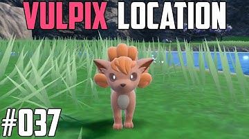 How to Catch Vulpix - Pokémon Scarlet & Violet (DLC)