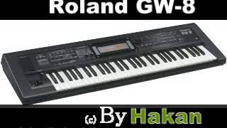 Hakan TUNCER (HT) Roland GW8 Resimi