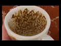 Scorpio You’re Closer to Success Than You Realize Coffee Cup Reading