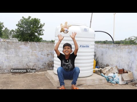 ఒక కుక్క బొమ్మ కథ | Kannayya Videos | Trends adda | Kannayya Vlogs