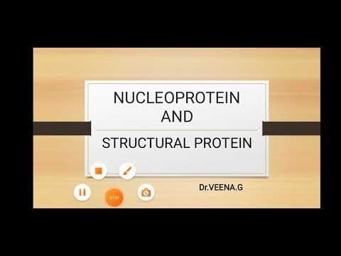 nucleoprotein and structural protein