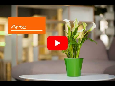 Горщик для квітів  "ARTE" 0,6 л зелене-золото-білий, видео 2