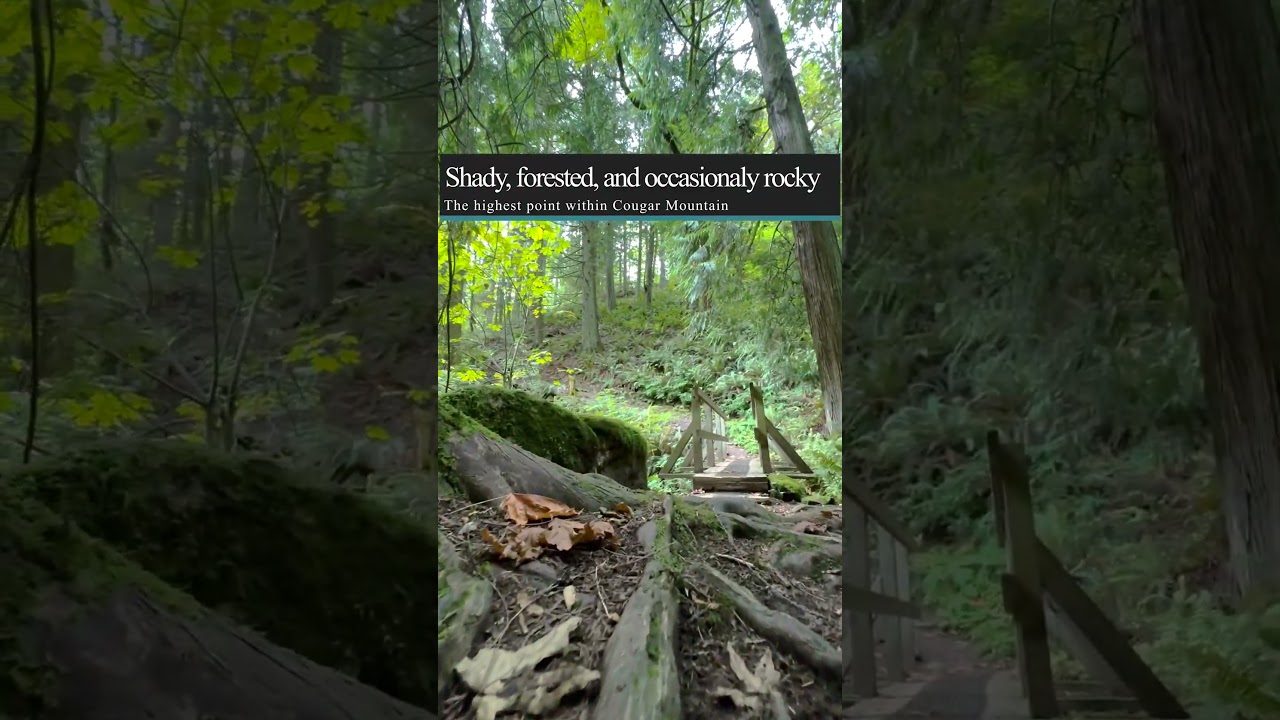 🌲 Discover the Whittaker Trail in Issaquah, WA | Scenic Hike & Nature Walk 🥾  #HikingAdventures