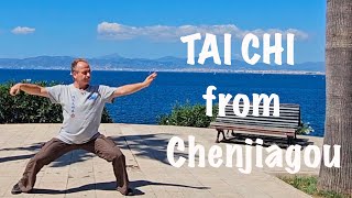 Tai Chi From Chenjiagou with @jansilberstorff4535