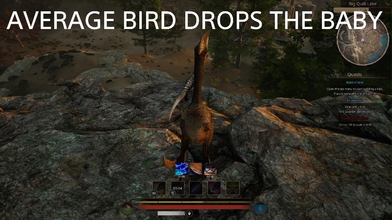 Hatz 3rd parties pachy vs deinony -dynasty realism