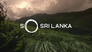 Sinharaja Forest | So Sri Lanka screenshot 2