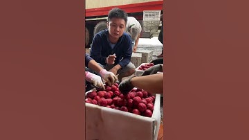 Quy trình đóng vải xuất khẩu sẽ ntn #vaithieu #nongsan #vảithiều