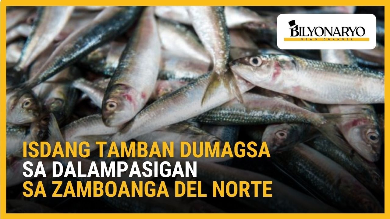 Libreng pang-ulam at dagdag-kita: Isdang tamban, dumagsa sa dalampasigan ng Dapitan City | Agenda