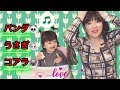 クオーター親子とパンダ・うさぎ・コアラ・『キッズソング』