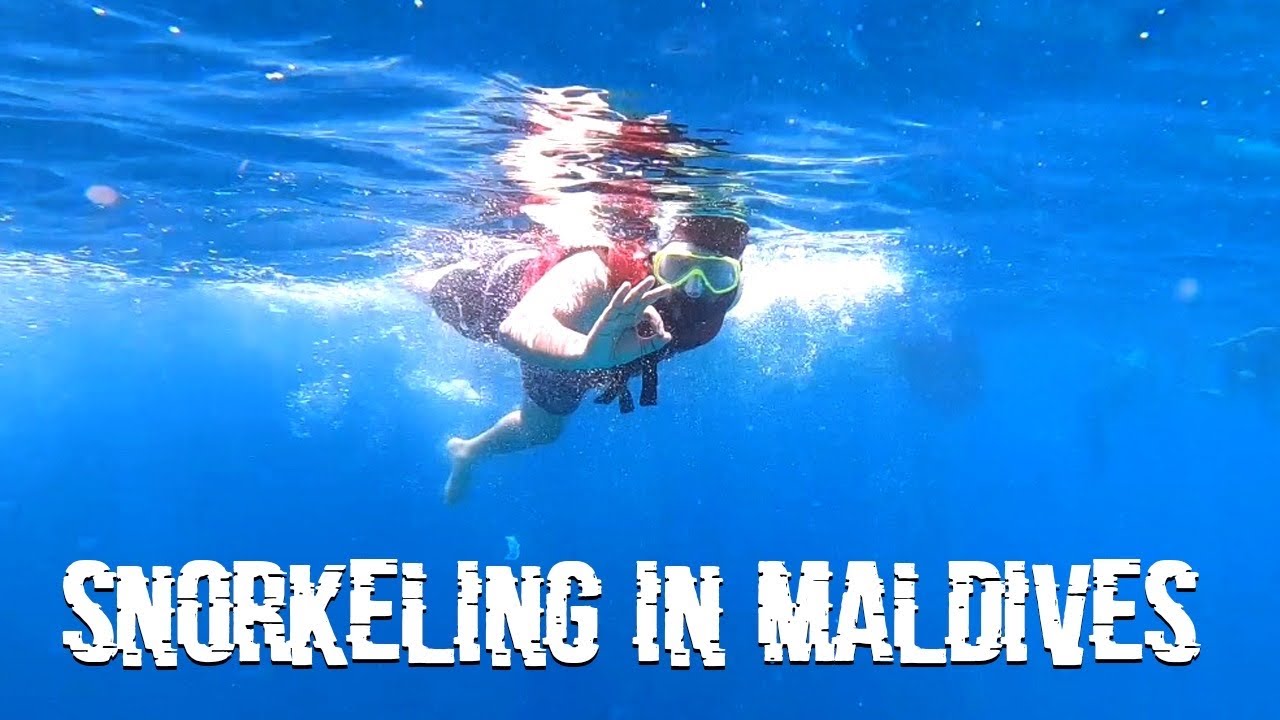 SNORKELING IN MALDIVES WITH UNICORN FISHES