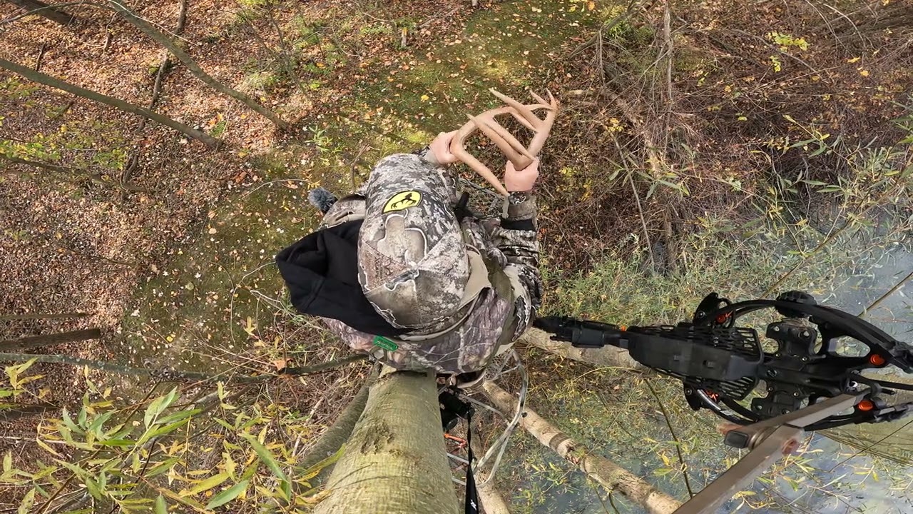 My rattle sequence famous!!! 