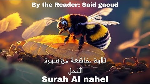 تلاوة القرآن الكريم تريح القلب 😌🤍🎧من سورة النحل #راحة_ #اكسبلور #راحة_نفسية