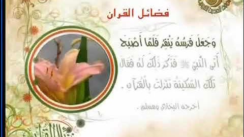 فضل سورة آل عمران وسورة الكهف - فضائل سور القرآن