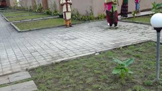 UMA SARI VILLA PELIATAN UBUD BALI