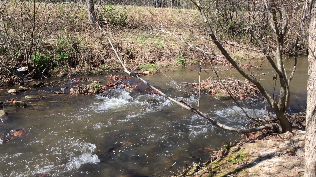 TableRock Fish Hatchery, North Carolina 4K YouTube