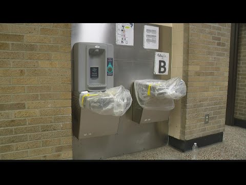 IPS has announced plans to safely open school on August 3