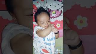 Album Adelia