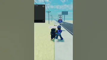Stranger Makes It Across The Highway 