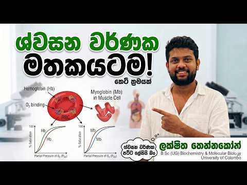 ශ්වසන වර්ණක මතකයටම! 🧠🩸 | Hemoglobin & Myoglobin Curves | A/L Bio  #LakshithaThennakoon #ShortMethods