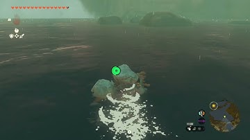 [DAY 771] of finding one korok seed in TotK everyday until we get them all