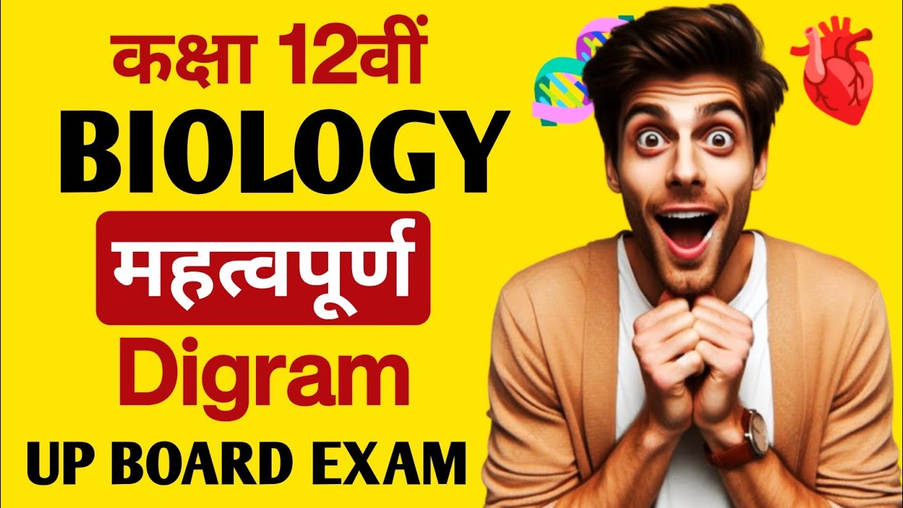 Class 12 Biology Important Diagrams One Shot | UP Board Exam 2026 ...