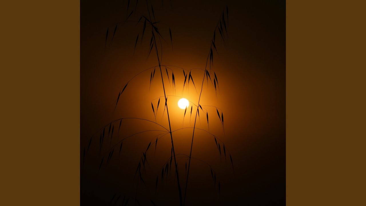 Watch Sunrise on YouTube Watch Sunrise on YouTube