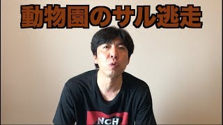 動物園のサル逃走